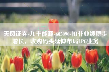 天风证券-九丰能源-605090-扣非业绩稳步增长，收购码头延伸布局LPG业务