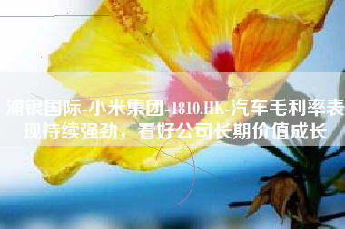 浦银国际-小米集团-1810.HK-汽车毛利率表现持续强劲，看好公司长期价值成长
