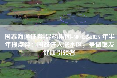 国泰海通证券-昆药集团-600422-2025 年半年报点评：国改进入深水区，争做银发健康引领者