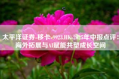 太平洋证券-移卡-9923.HK-2025年中报点评：海外拓展与AI赋能共塑成长空间