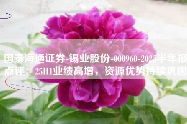 国泰海通证券-锡业股份-000960-2025半年报点评：25H1业绩高增，资源优势持续巩固