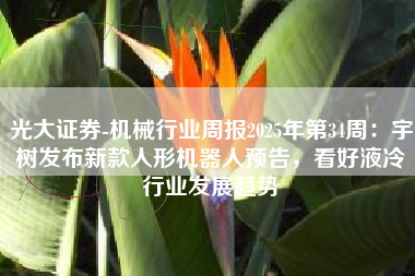 光大证券-机械行业周报2025年第34周：宇树发布新款人形机器人预告，看好液冷行业发展趋势