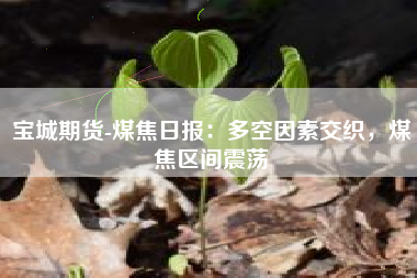 宝城期货-煤焦日报：多空因素交织，煤焦区间震荡