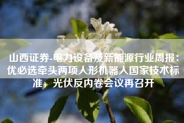 山西证券-电力设备及新能源行业周报：优必选牵头两项人形机器人国家技术标准，光伏反内卷会议再召开