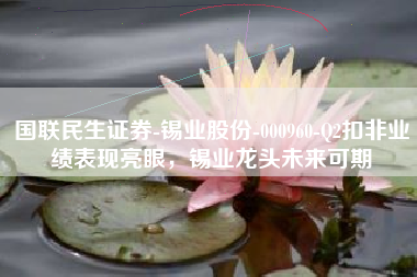 国联民生证券-锡业股份-000960-Q2扣非业绩表现亮眼，锡业龙头未来可期