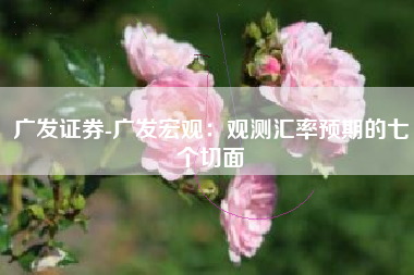 广发证券-广发宏观：观测汇率预期的七个切面