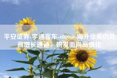 平安证券-宇通客车-600066-海外业务仍处高增长通道，研发面向高端化