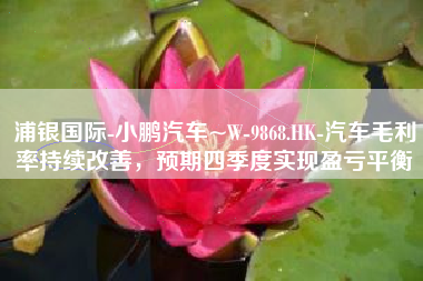 浦银国际-小鹏汽车~W-9868.HK-汽车毛利率持续改善，预期四季度实现盈亏平衡