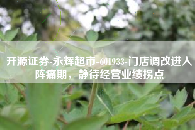 开源证券-永辉超市-601933-门店调改进入阵痛期，静待经营业绩拐点