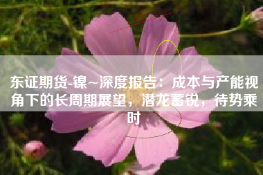 东证期货-镍~深度报告：成本与产能视角下的长周期展望，潜龙蓄锐，待势乘时
