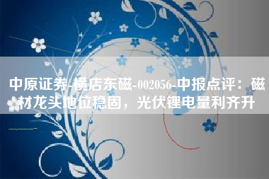中原证券-横店东磁-002056-中报点评：磁材龙头地位稳固，光伏锂电量利齐升