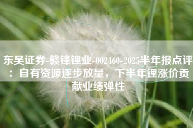东吴证券-赣锋锂业-002460-2025半年报点评：自有资源逐步放量，下半年锂涨价贡献业绩弹性