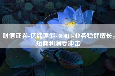 财信证券-亿纬锂能-300014-业务稳健增长，短期利润受冲击