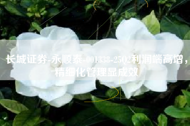 长城证券-永顺泰-001338-25Q2利润端高增，精细化管理显成效