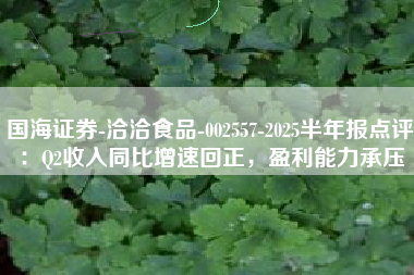 国海证券-洽洽食品-002557-2025半年报点评：Q2收入同比增速回正，盈利能力承压