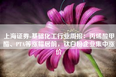 上海证券-基础化工行业周报：丙烯酸甲酯、PTA等涨幅居前，钛白粉企业集中涨价