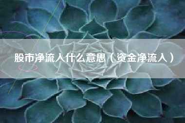 股市净流入什么意思（资金净流入）