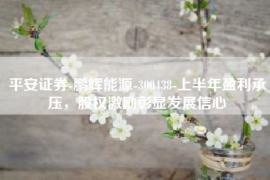 平安证券-鹏辉能源-300438-上半年盈利承压，股权激励彰显发展信心