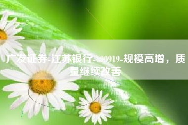 广发证券-江苏银行-600919-规模高增，质量继续改善