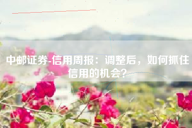 中邮证券-信用周报：调整后，如何抓住信用的机会？