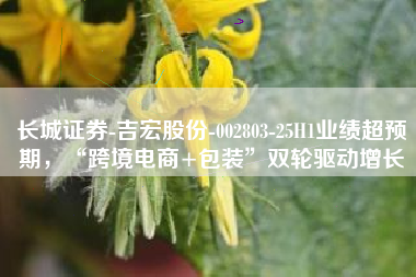 长城证券-吉宏股份-002803-25H1业绩超预期，“跨境电商+包装”双轮驱动增长