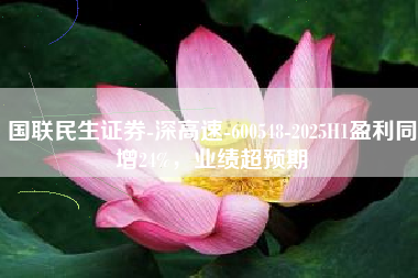 国联民生证券-深高速-600548-2025H1盈利同增24%，业绩超预期