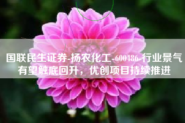 国联民生证券-扬农化工-600486-行业景气有望触底回升，优创项目持续推进