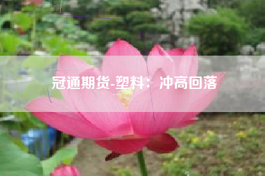 冠通期货-塑料：冲高回落