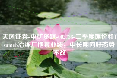 天风证券-中矿资源-002738-二季度锂价和Tsumeb冶炼厂拖累业绩，中长期向好态势不改