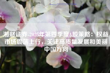 湘财证券-2025年第四季度A股策略：权益市场震荡上行，关注高质量发展和美丽中国方向