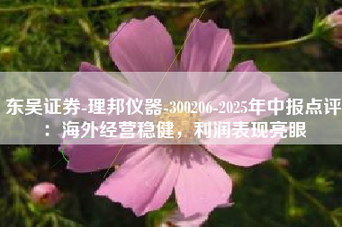 东吴证券-理邦仪器-300206-2025年中报点评：海外经营稳健，利润表现亮眼