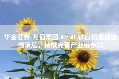 华金证券-龙佰集团-002601-钛白粉低迷业绩承压，持续完善产业链布局