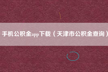 手机公积金app下载（天津市公积金查询）