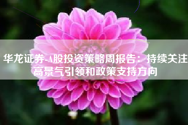 华龙证券-A股投资策略周报告：持续关注高景气引领和政策支持方向