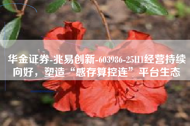 华金证券-兆易创新-603986-25H1经营持续向好，塑造“感存算控连”平台生态