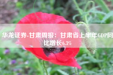 华龙证券-甘肃周报：甘肃省上半年GDP同比增长6.3%