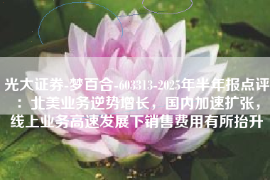 光大证券-梦百合-603313-2025年半年报点评：北美业务逆势增长，国内加速扩张，线上业务高速发展下销售费用有所抬升