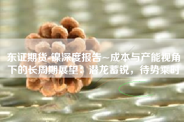 东证期货-镍深度报告~成本与产能视角下的长周期展望：潜龙蓄锐，待势乘时