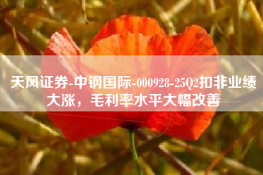天风证券-中钢国际-000928-25Q2扣非业绩大涨，毛利率水平大幅改善