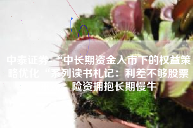 中泰证券-“中长期资金入市下的权益策略优化“系列读书札记：利差不够股票来凑，险资拥抱长期慢牛