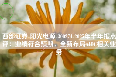 西部证券-阳光电源-300274-2025年半年报点评：业绩符合预期，全新布局AIDC相关业务