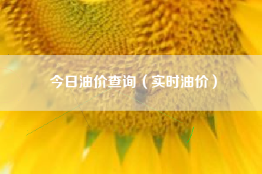 今日油价查询（实时油价）
