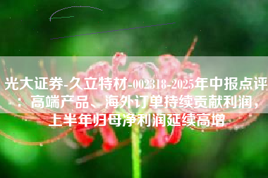 光大证券-久立特材-002318-2025年中报点评：高端产品、海外订单持续贡献利润，上半年归母净利润延续高增
