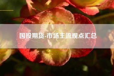 国投期货-市场主流观点汇总