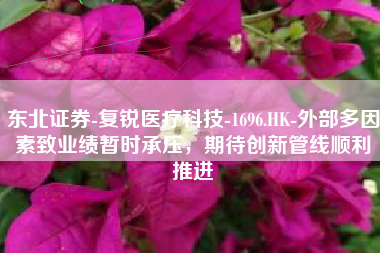 东北证券-复锐医疗科技-1696.HK-外部多因素致业绩暂时承压，期待创新管线顺利推进