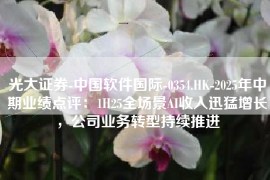 光大证券-中国软件国际-0354.HK-2025年中期业绩点评：1H25全场景AI收入迅猛增长，公司业务转型持续推进