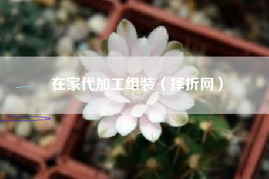 在家代加工组装（择折网）