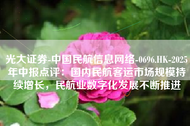 光大证券-中国民航信息网络-0696.HK-2025年中报点评：国内民航客运市场规模持续增长，民航业数字化发展不断推进