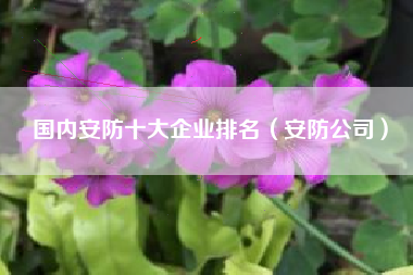 国内安防十大企业排名（安防公司）