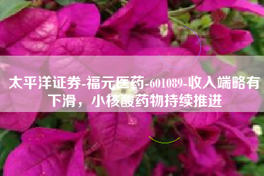 太平洋证券-福元医药-601089-收入端略有下滑，小核酸药物持续推进